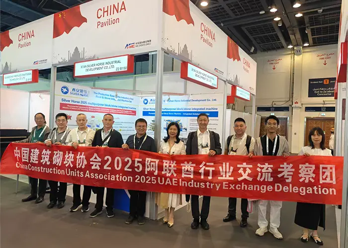 Team di scambio e ispezione dell'industria degli Emirati Arabi Uniti della China Construction Brick Association 2025